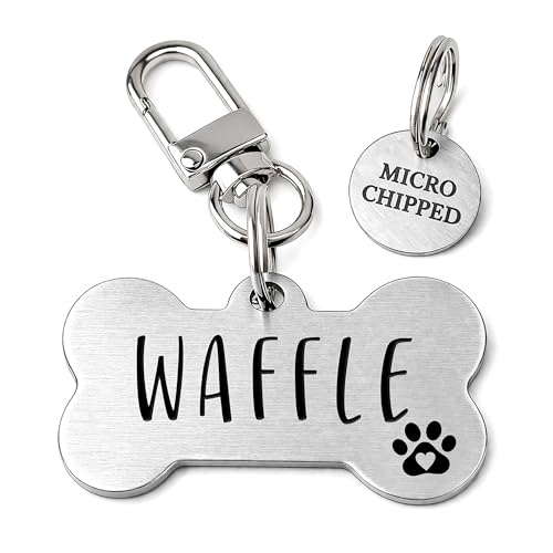 Personalized Stainless Steel Pet ID Tag
