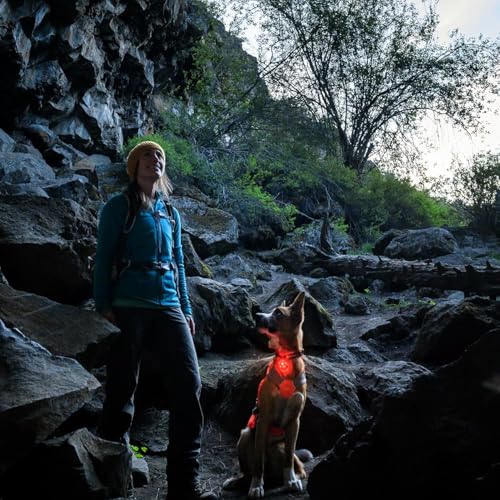Rechargeable Dog Safety Beacon Light