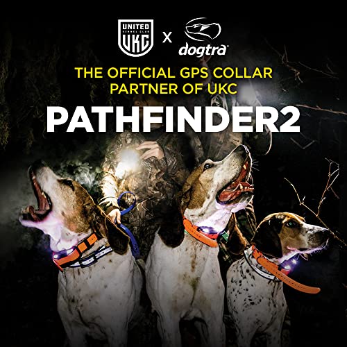 GPS Dog Tracker & Training Collar with 9-Mile Range