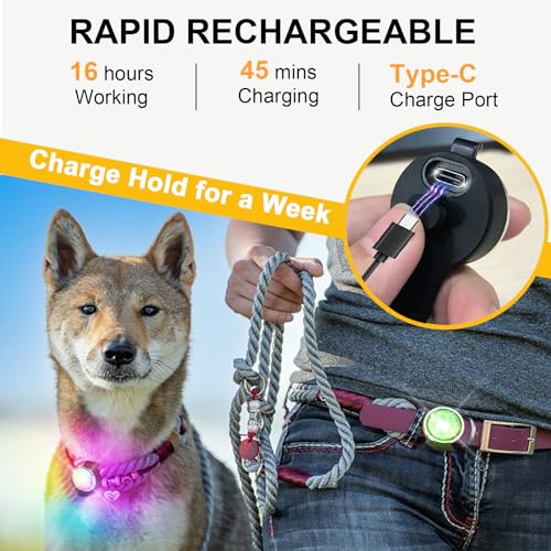 Rechargeable 8-Mode Dog Collar Safety Light
