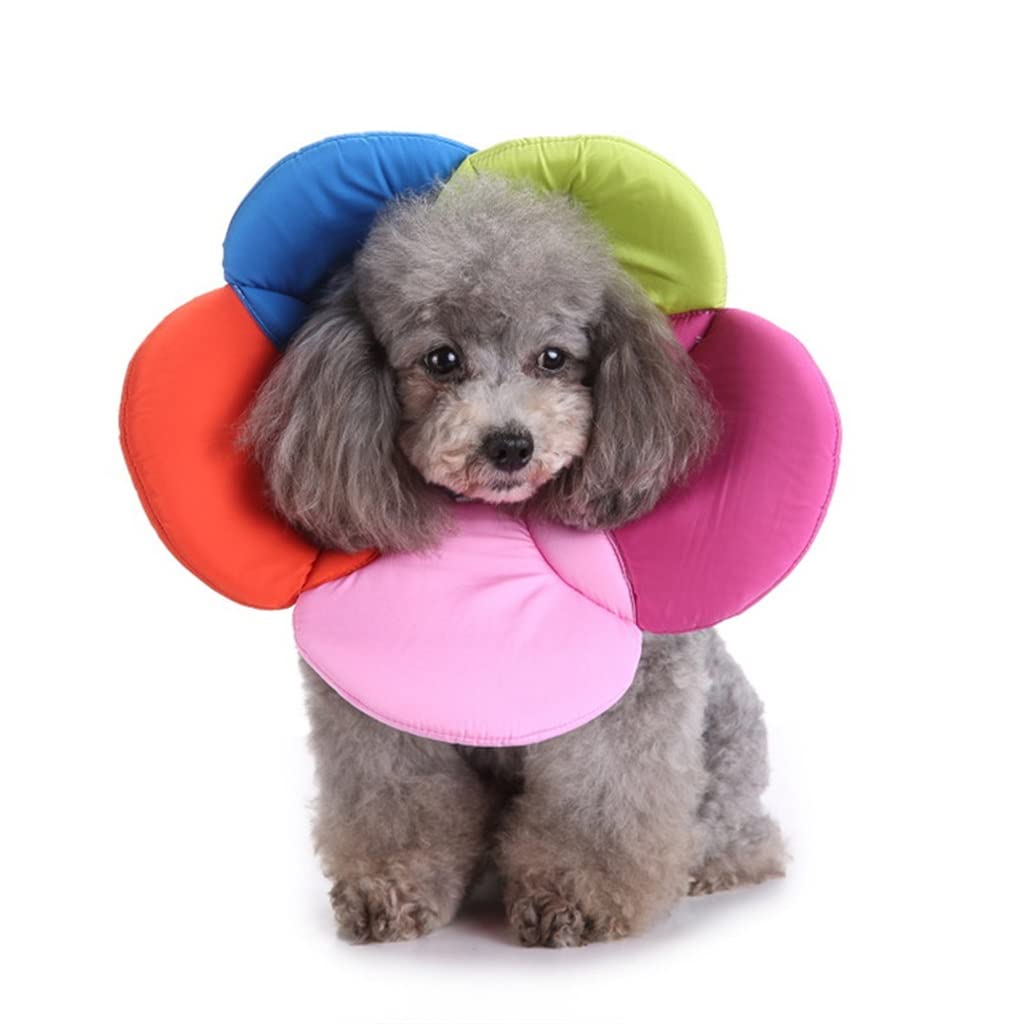 Flower-Shaped Dog Recovery Collar