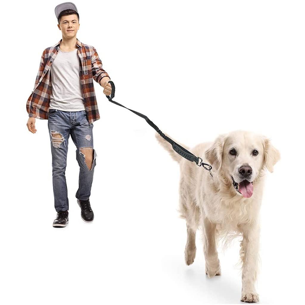 4-in-1 Reflective Shock-Absorbing Dog Leash