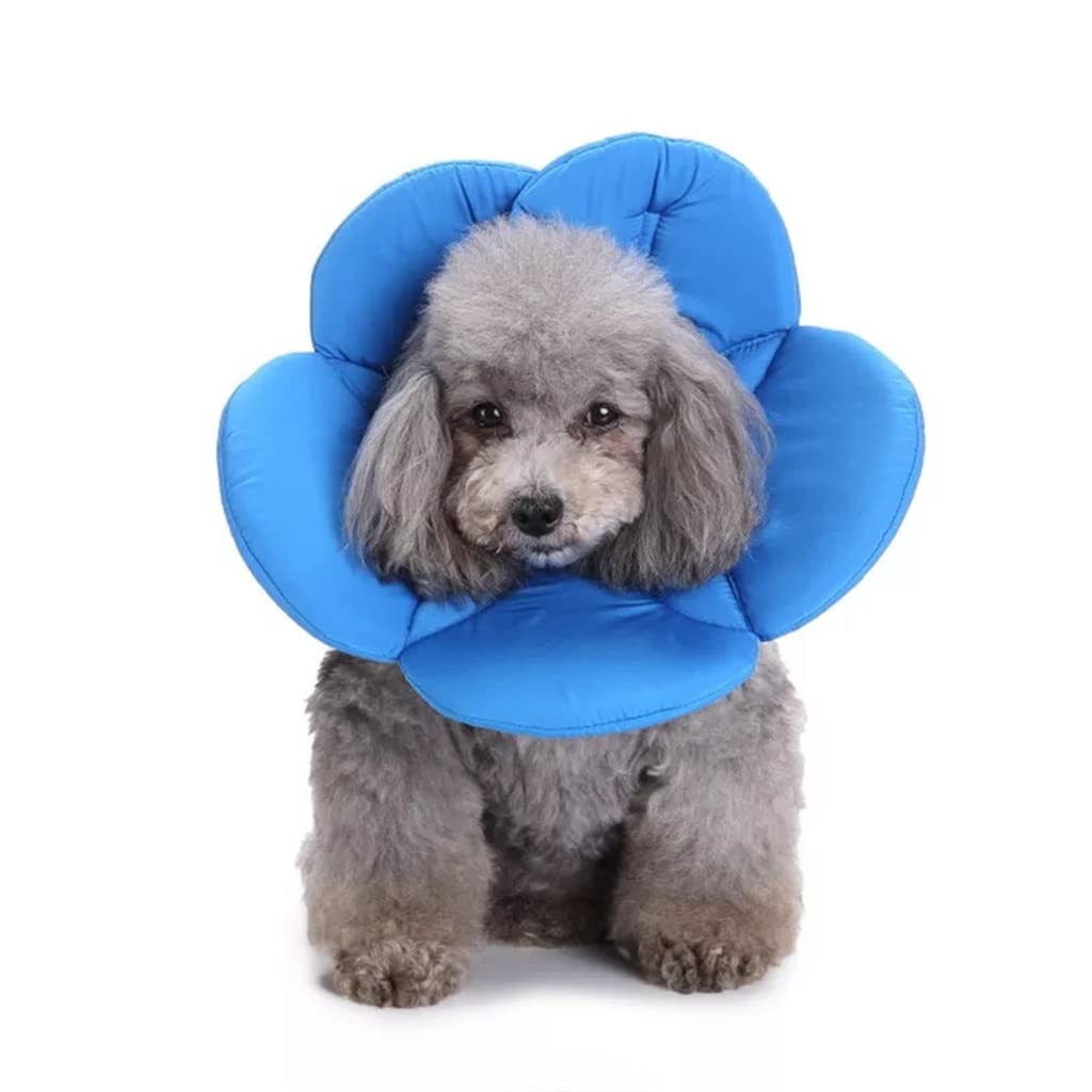 Flower-Shaped Dog Recovery Collar
