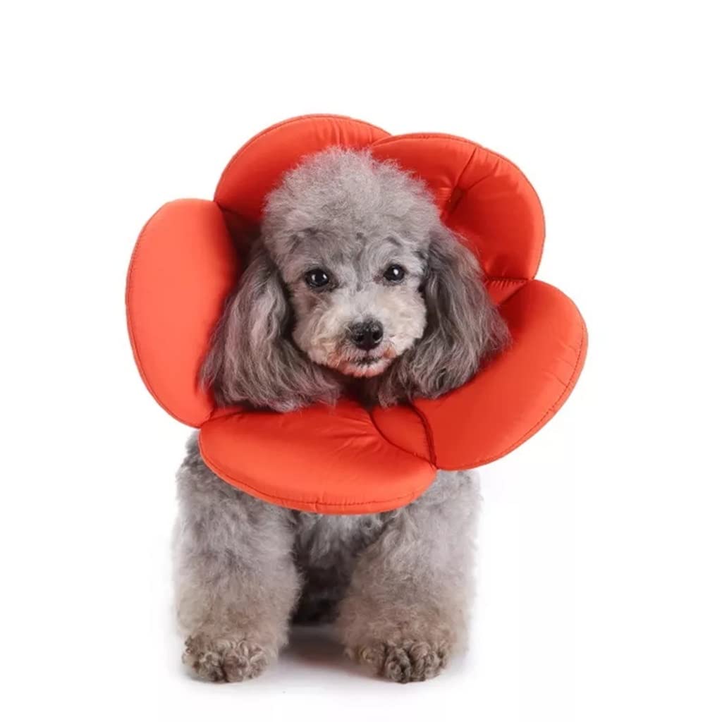 Flower-Shaped Dog Recovery Collar