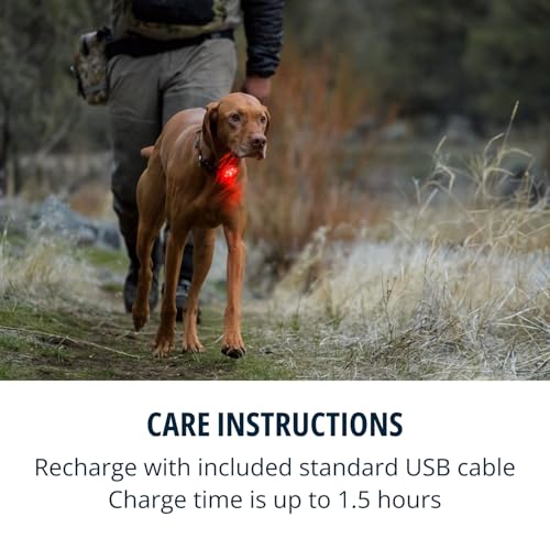 Rechargeable Dog Safety Beacon Light