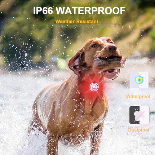 Rechargeable 8-Mode Dog Collar Safety Light