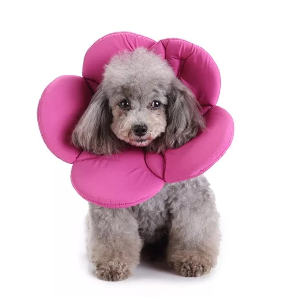 Flower-Shaped Dog Recovery Collar