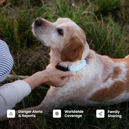 Smart Dog GPS Tracker with Virtual Fence & Vital Monitoring