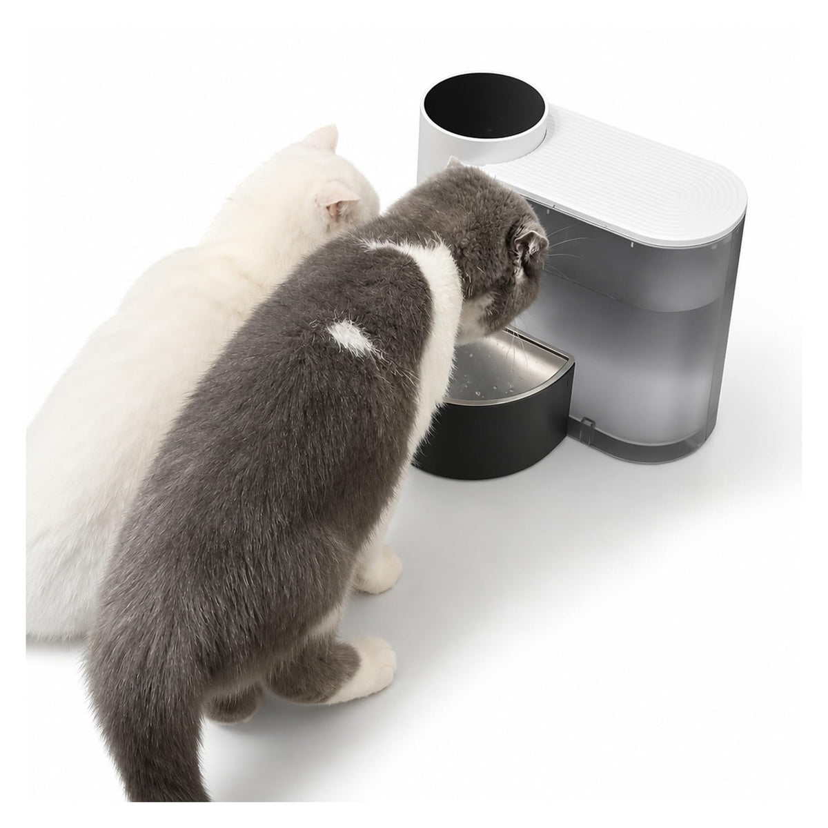 Pet Drinking Fountain, Pet Water Dispenser