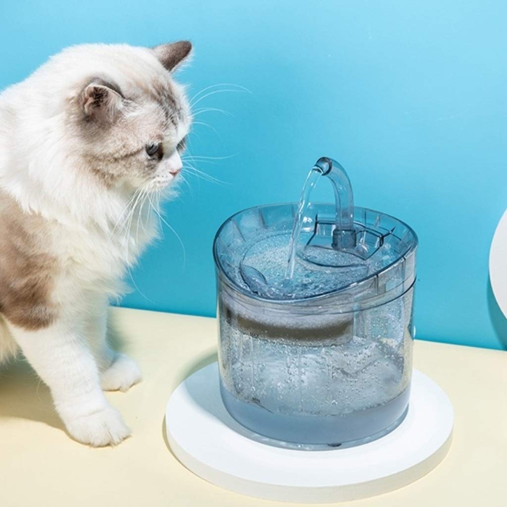 Smart Transparent Automatic Pet Water Fountain