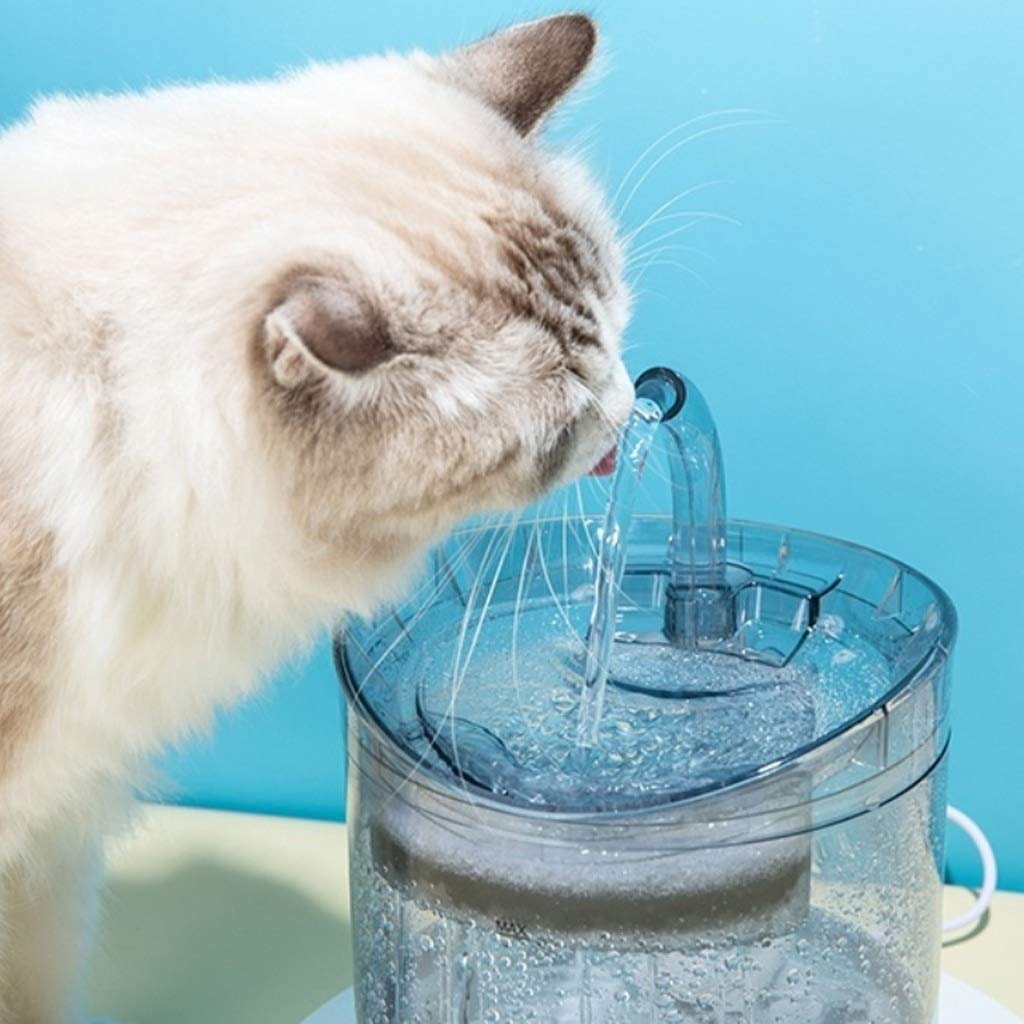 Smart Transparent Automatic Pet Water Fountain