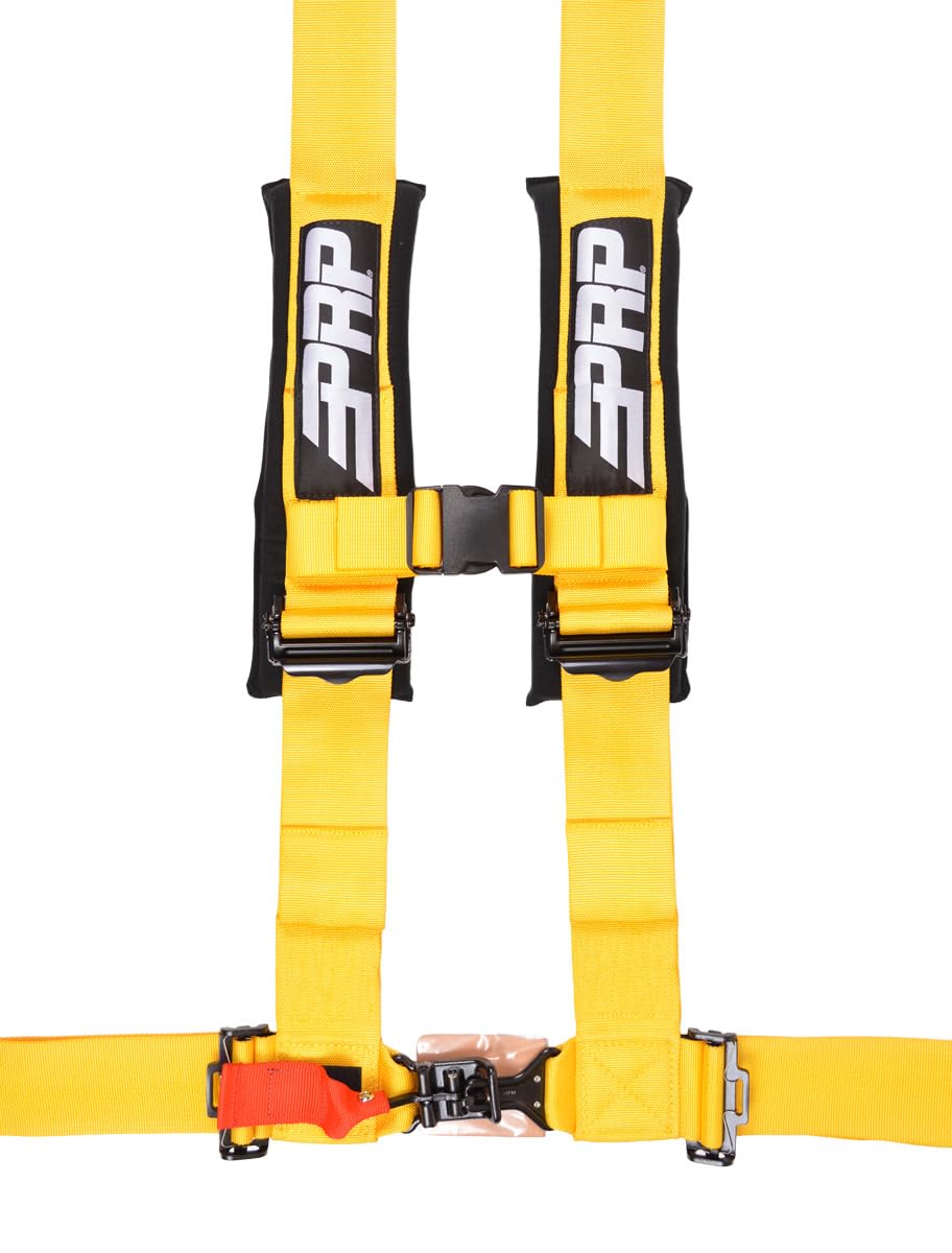 4-Point Padded Safety Harness with Adjustable Straps