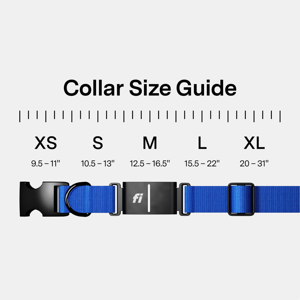 Smart GPS Dog Tracker Collar with Health & Escape Monitoring