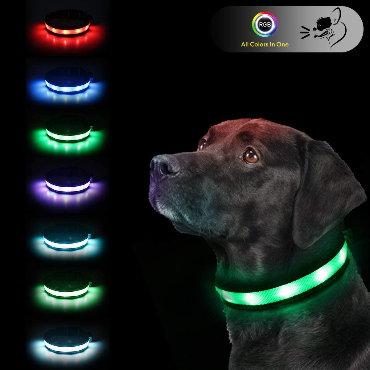 6FT LED Dog Leash & XL Rechargeable Collar Set