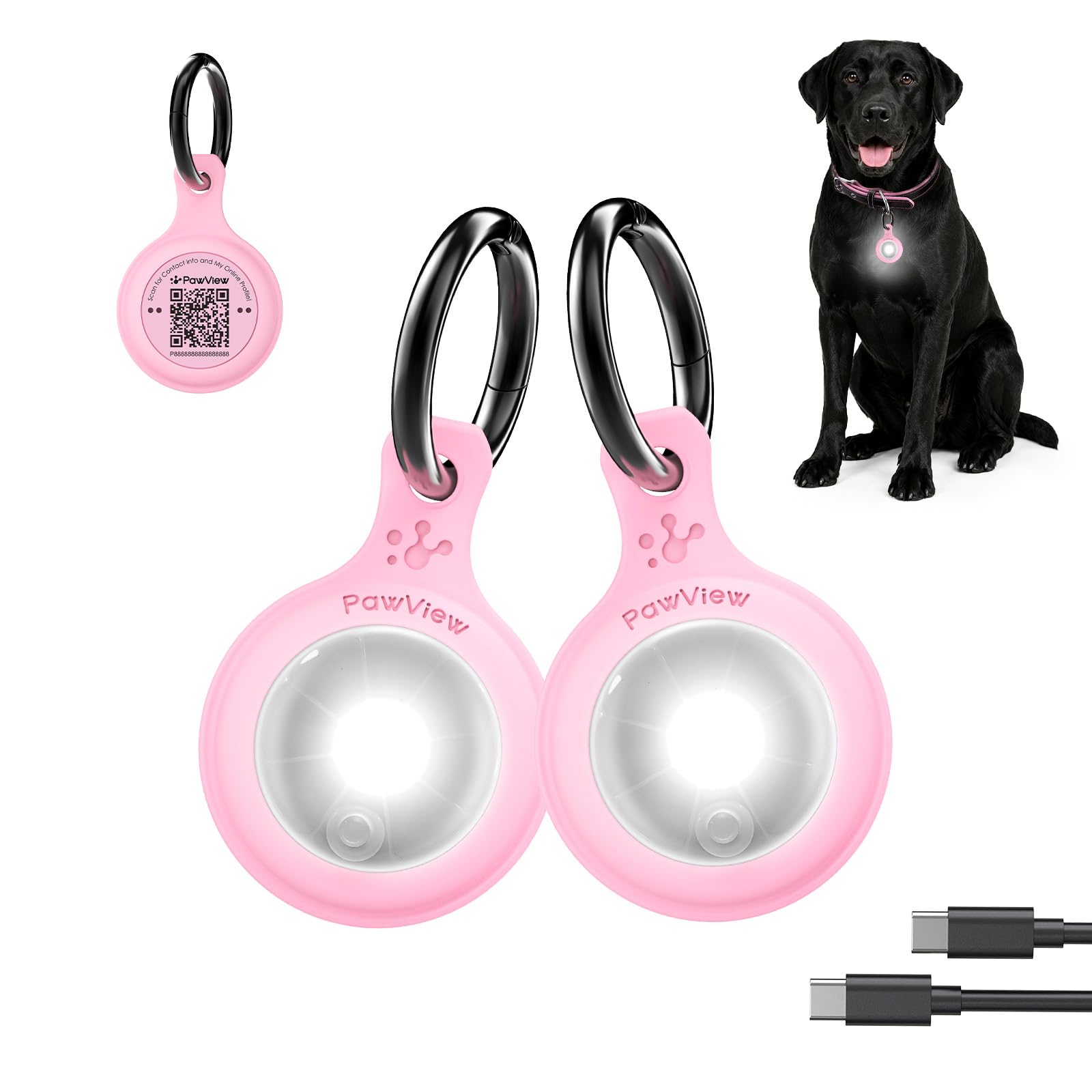 2-Pack USB-C LED Dog Safety Lights with QR Code ID