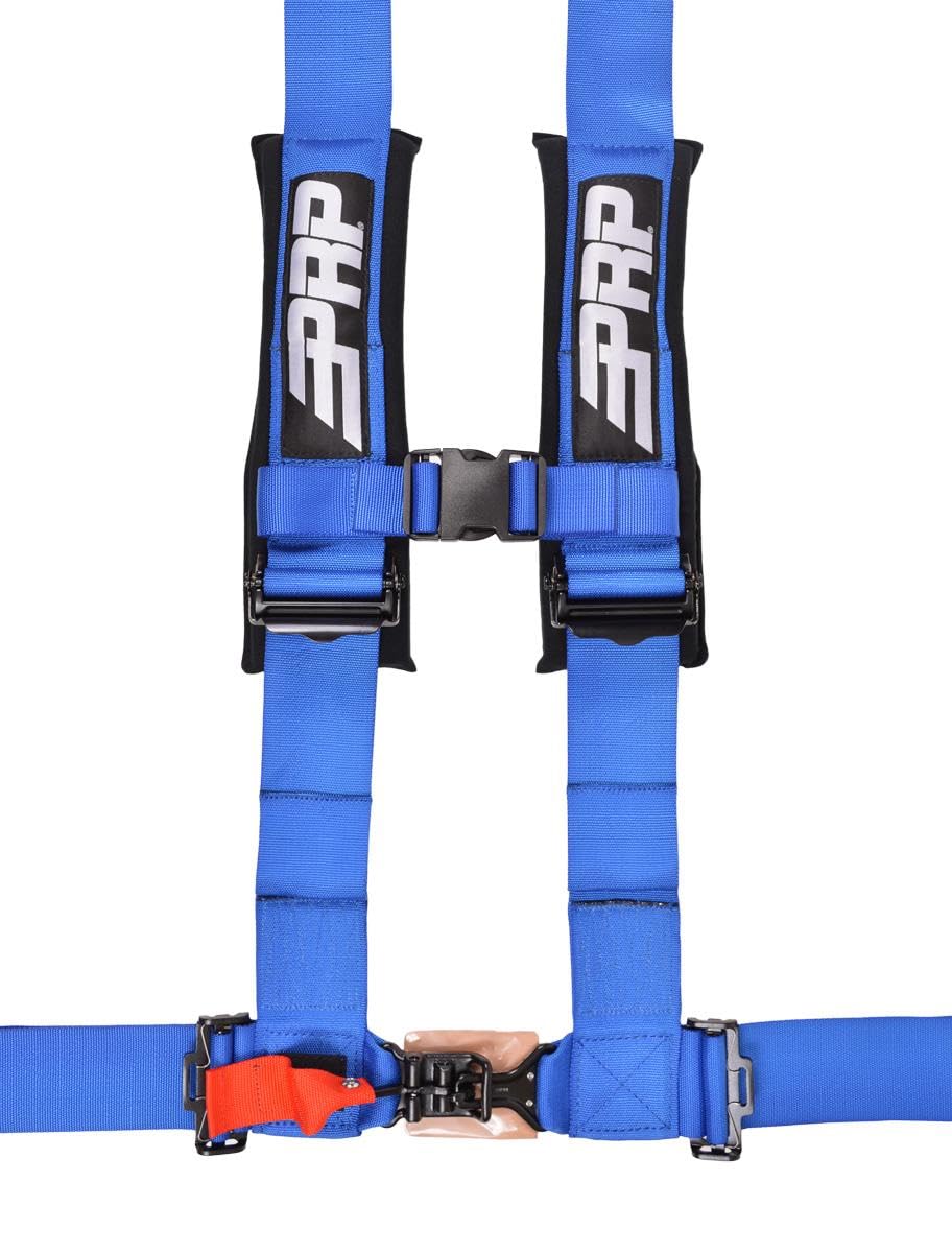 4-Point Padded Safety Harness with Adjustable Straps
