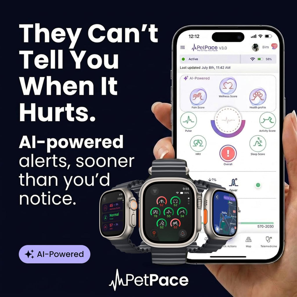 Smart Dog Health Monitoring Collar with GPS & Vital Tracking