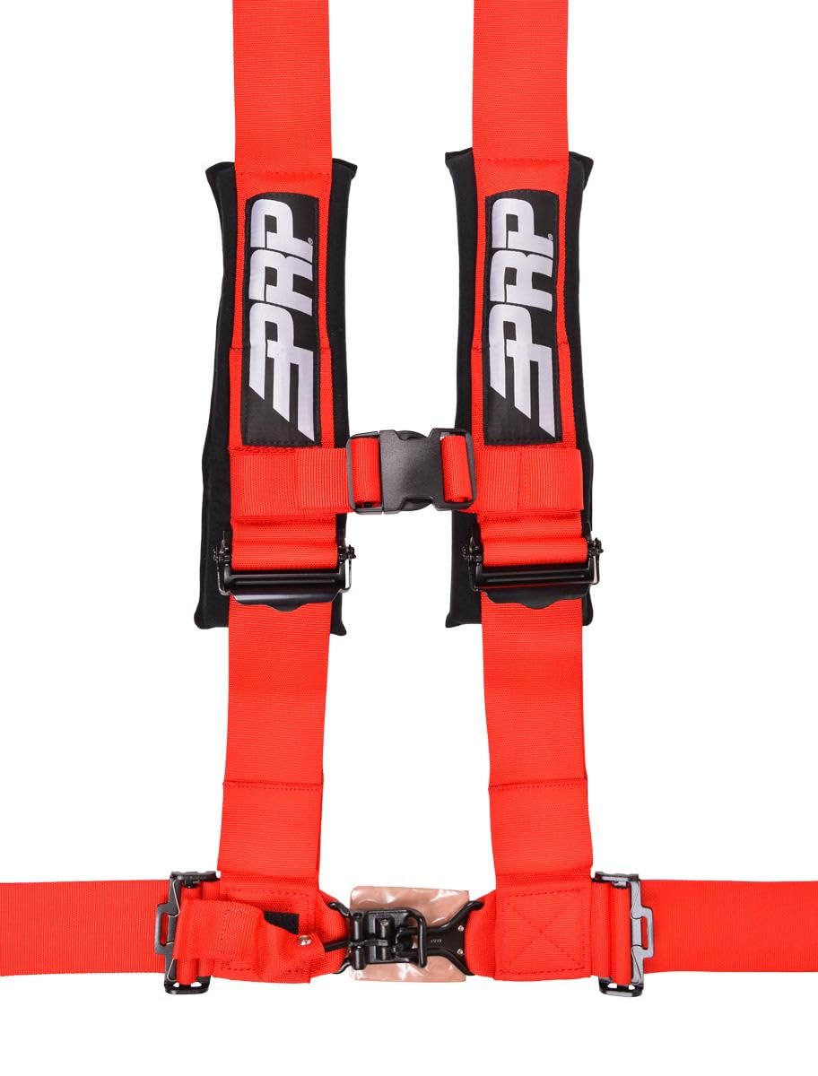 4-Point Padded Safety Harness with Adjustable Straps