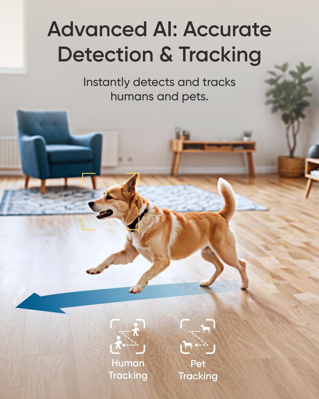 4K Indoor Pet Camera 2-Pack with App Monitoring