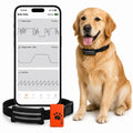Smart Dog Health Monitoring Collar with Activity & Vital Tracking