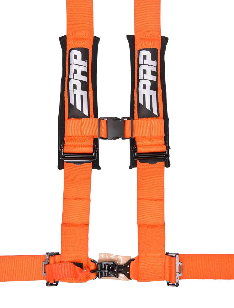 4-Point Padded Safety Harness with Adjustable Straps