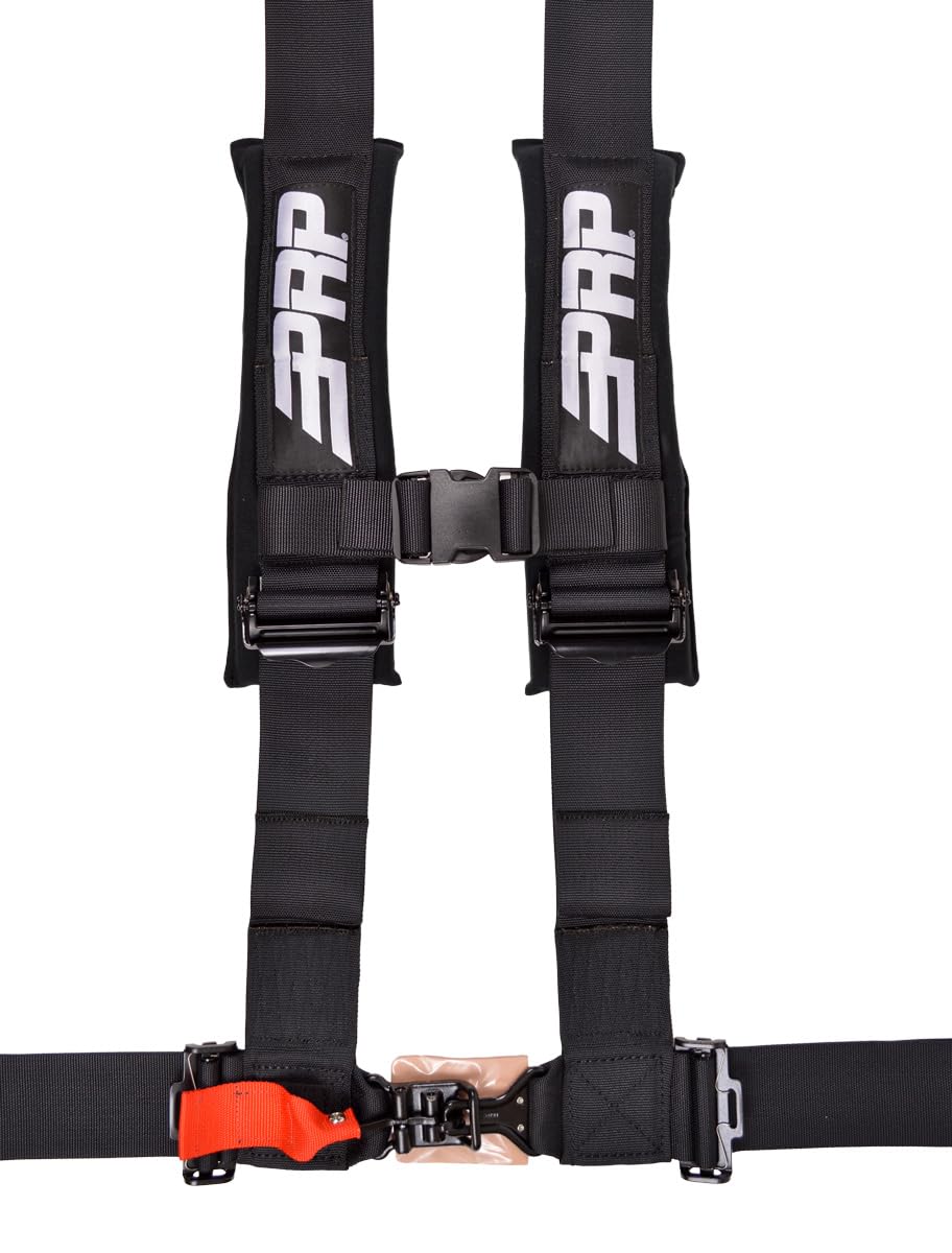 4-Point Padded Safety Harness with Adjustable Straps