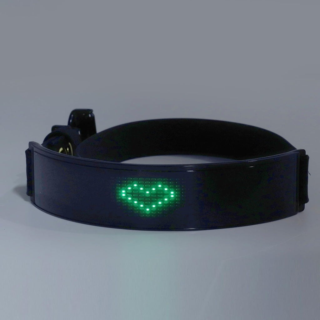 Rechargeable LED Smart Dog Collar with Custom Display
