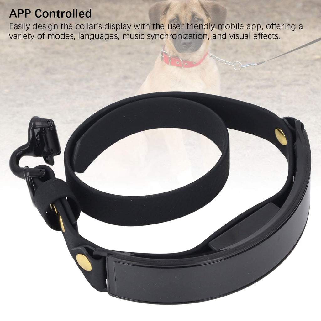 Rechargeable LED Smart Dog Collar with Custom Display