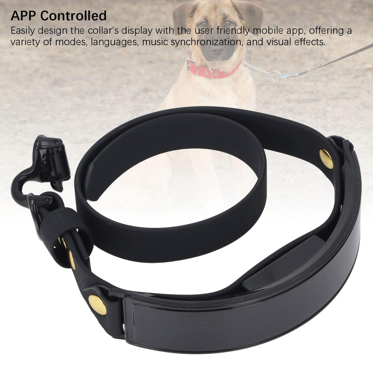 Rechargeable LED Smart Dog Collar with Custom Display