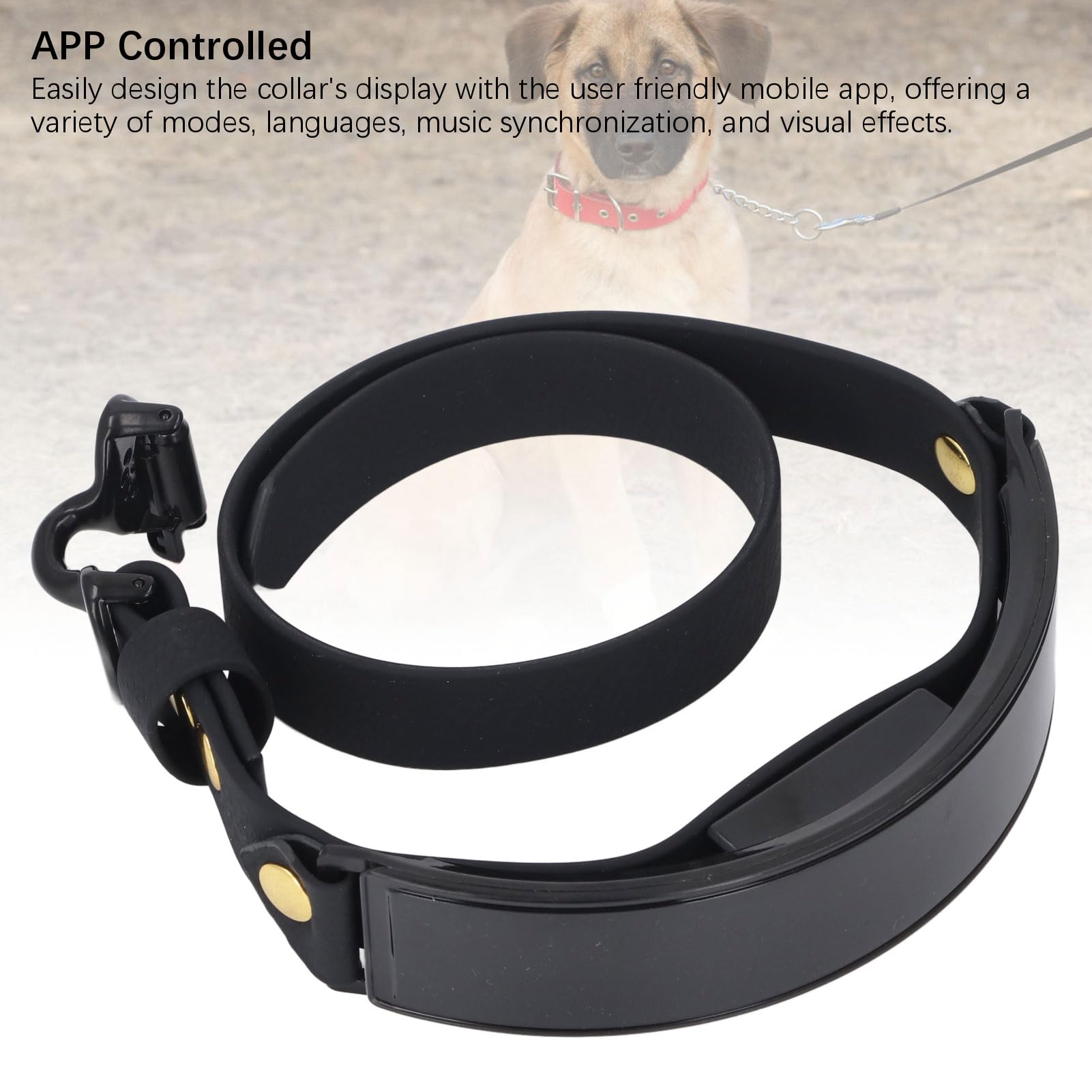 Rechargeable LED Smart Dog Collar with Custom Display