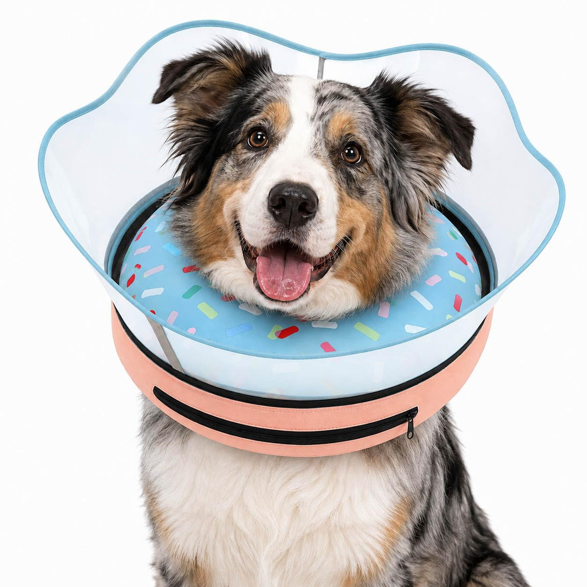 Inflatable Pet Collar for Cats and Dogs—Prevents Licking and Biting