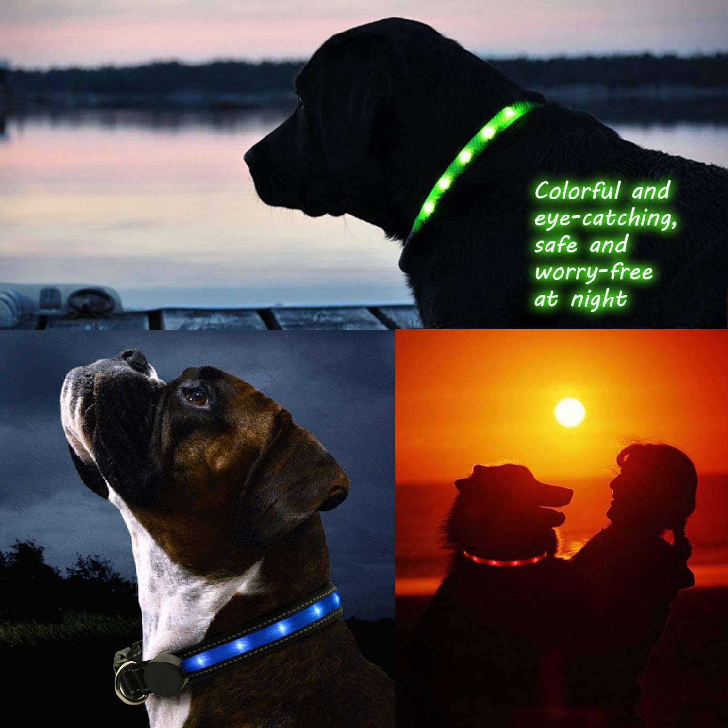 6FT LED Dog Leash & XL Rechargeable Collar Set