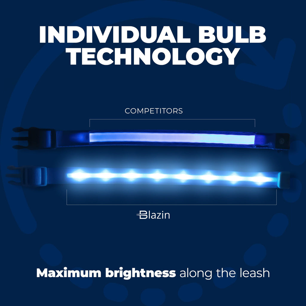 USB Rechargeable LED Light-Up Dog Collar
