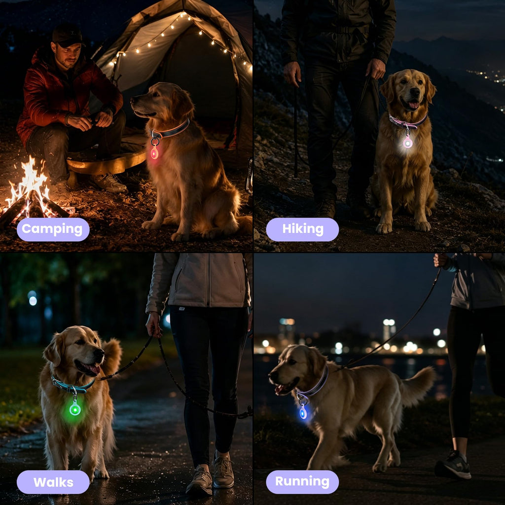 2-Pack USB-C LED Dog Safety Lights with QR Code ID