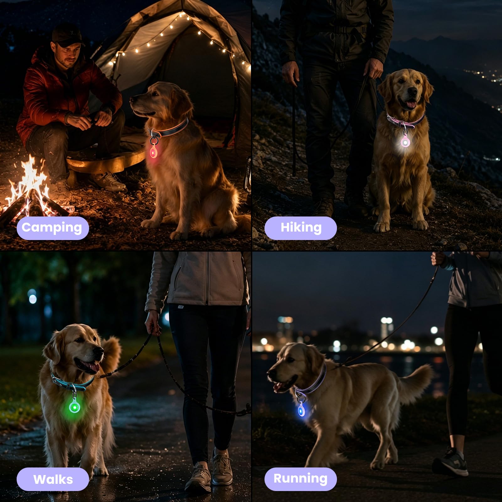 2-Pack USB-C LED Dog Safety Lights with QR Code ID