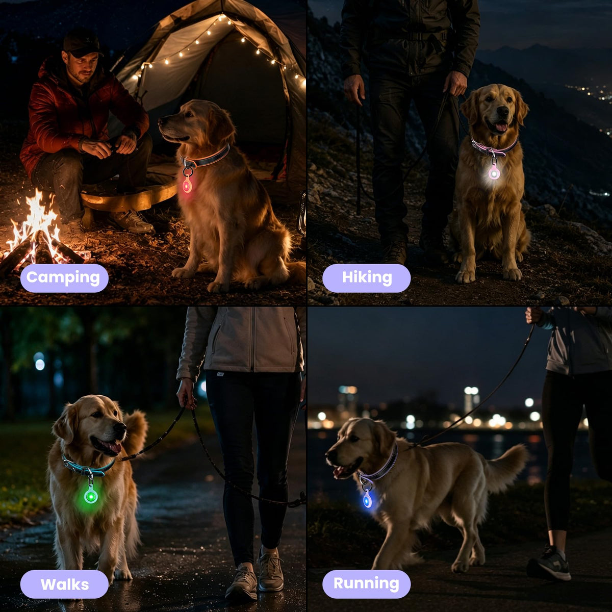2-Pack USB-C LED Dog Safety Lights with QR Code ID