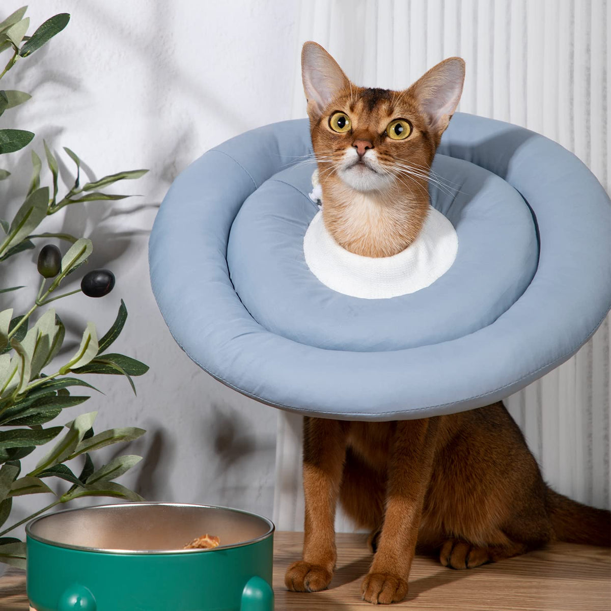 Soft Adjustable Dog Recovery Donut Collar