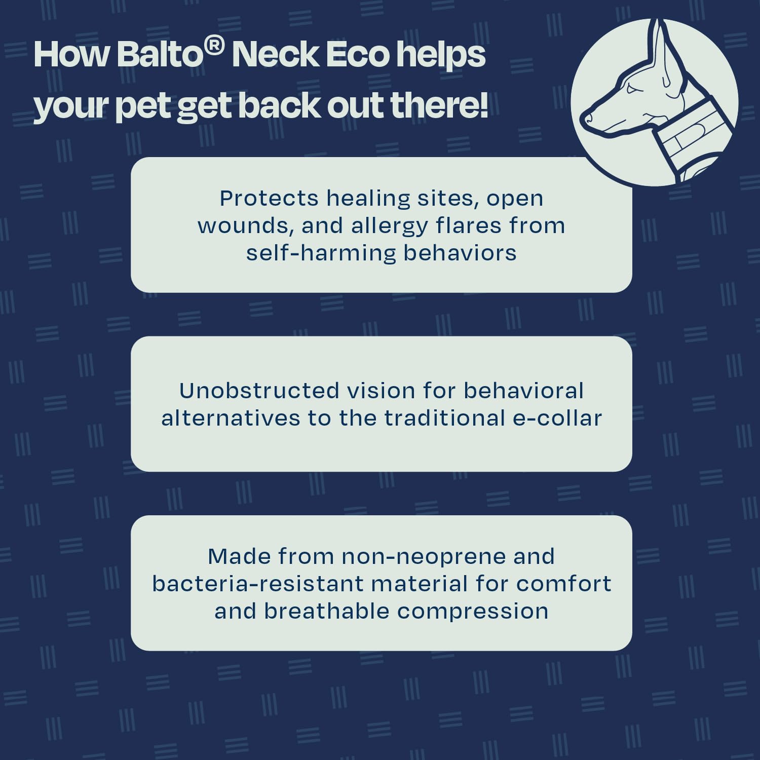 Soft Adjustable Dog Recovery Collar