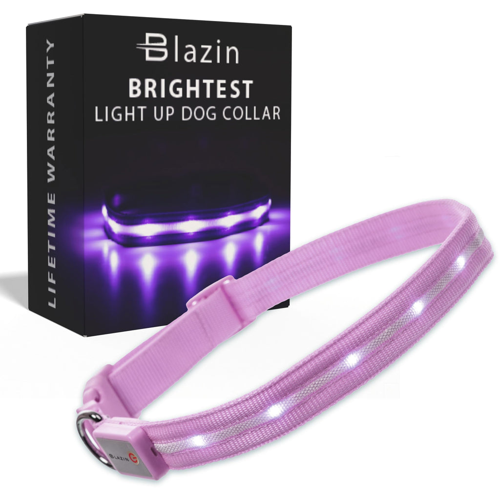 USB Rechargeable LED Light-Up Dog Collar