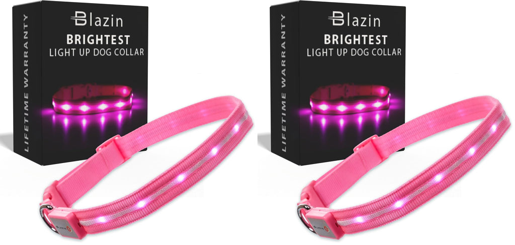 USB Rechargeable LED Light-Up Dog Collar