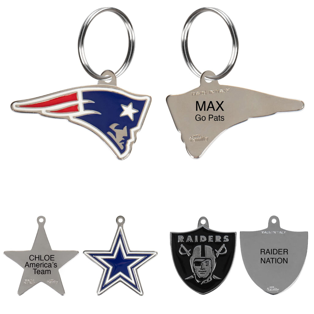 Personalized Pet ID Tag with Team Logo