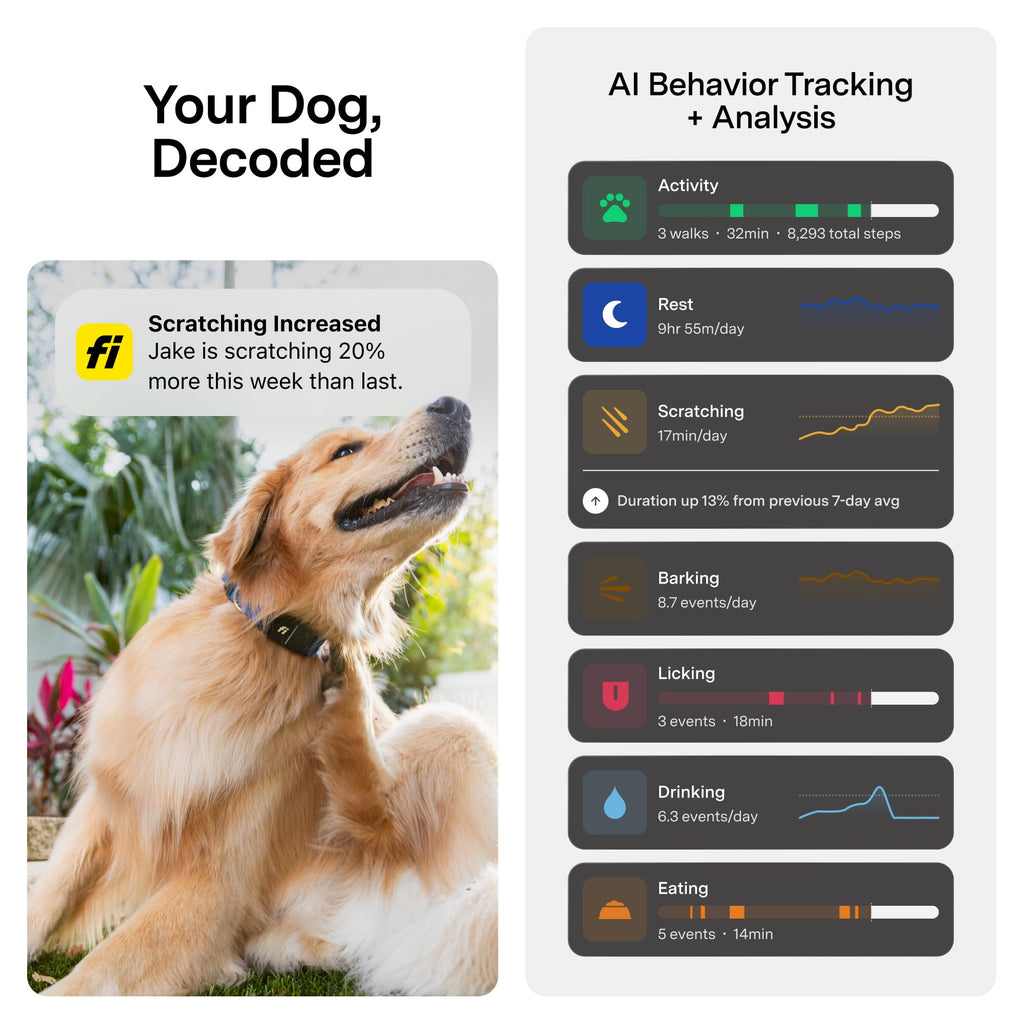 Smart GPS Dog Tracker Collar with Health & Escape Monitoring