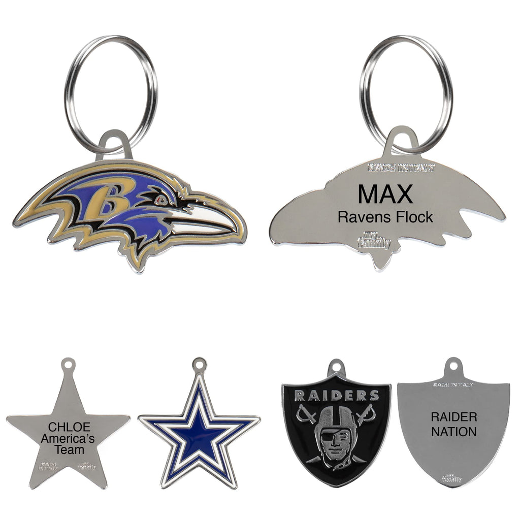 Personalized Pet ID Tag with Team Logo
