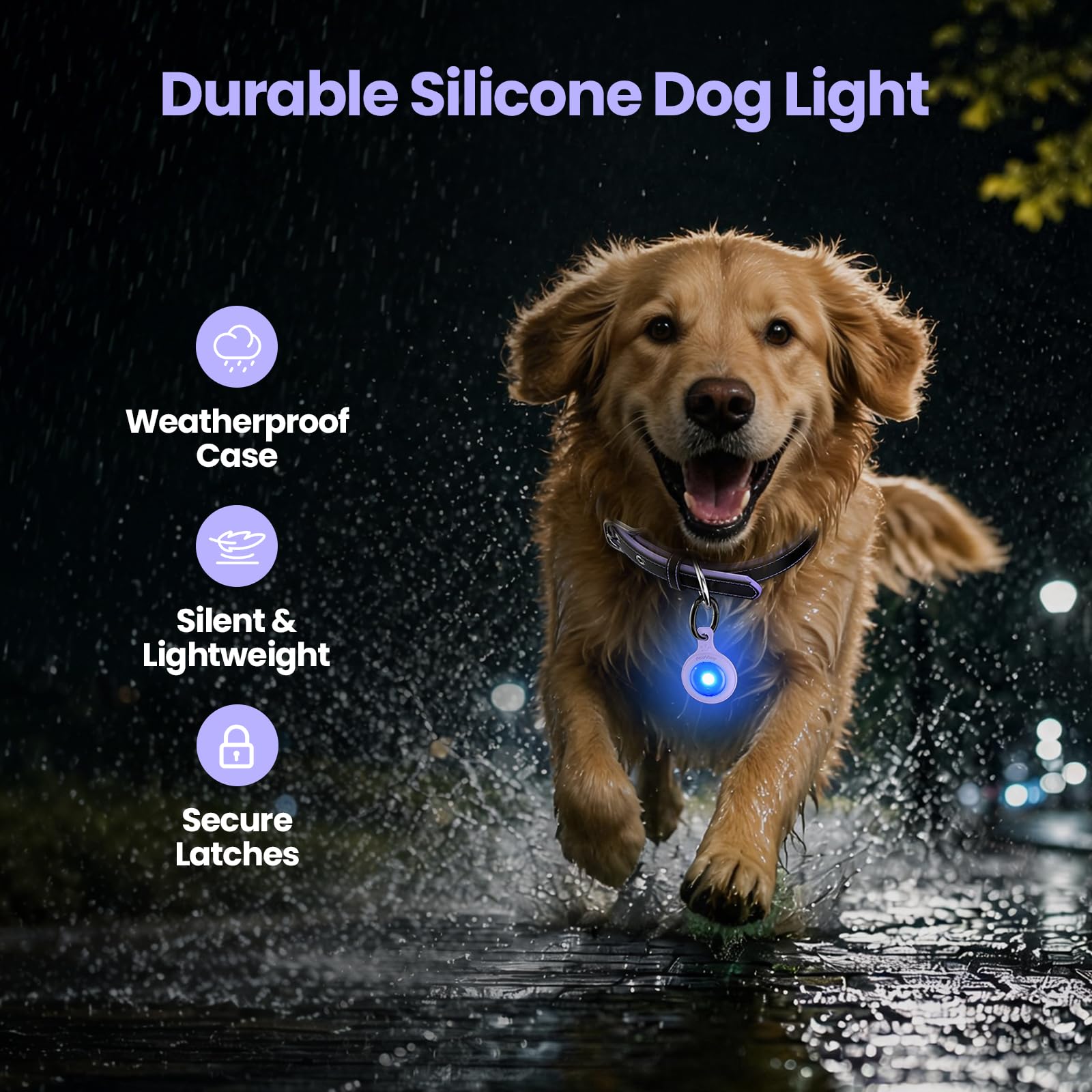 2-Pack USB-C LED Dog Safety Lights with QR Code ID
