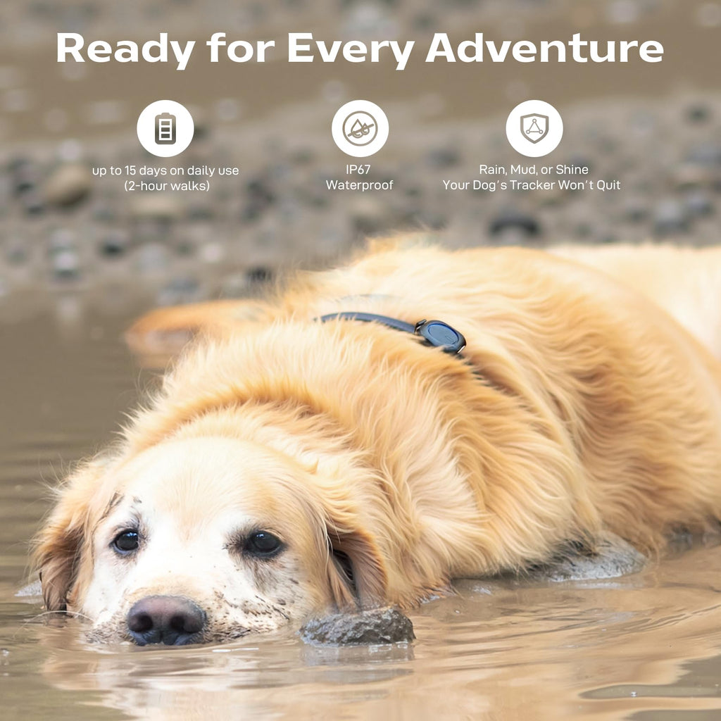 Subscription-Free GPS Dog Tracker for Off-Grid Areas