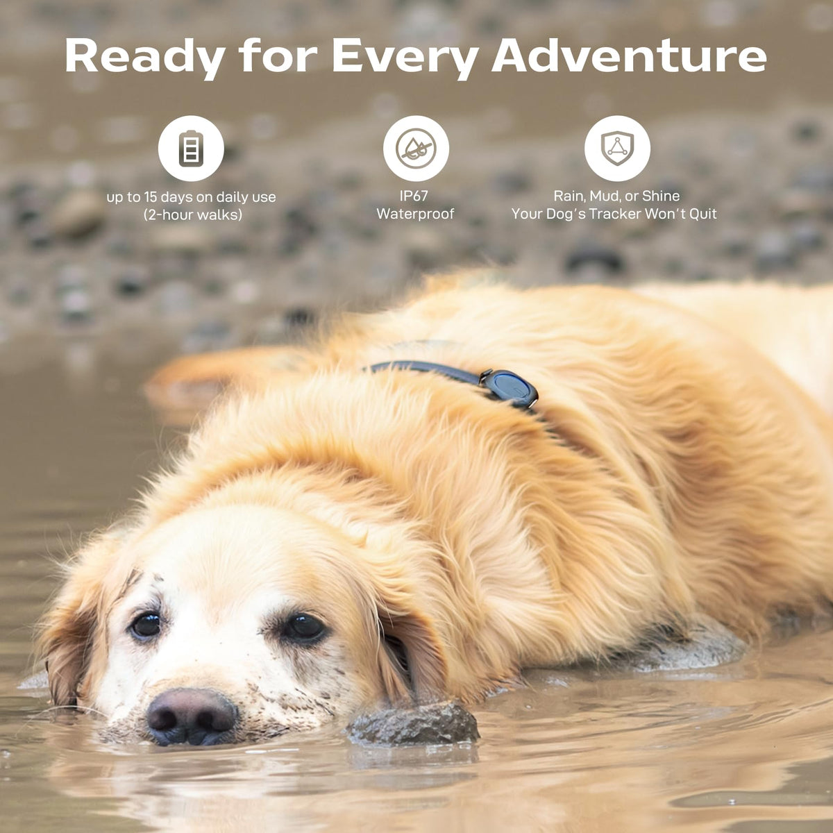 Subscription-Free GPS Dog Tracker for Off-Grid Areas