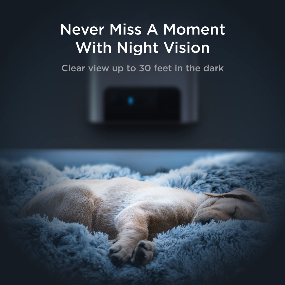 Smart Pet Camera with Treat Dispenser & Two-Way Audio