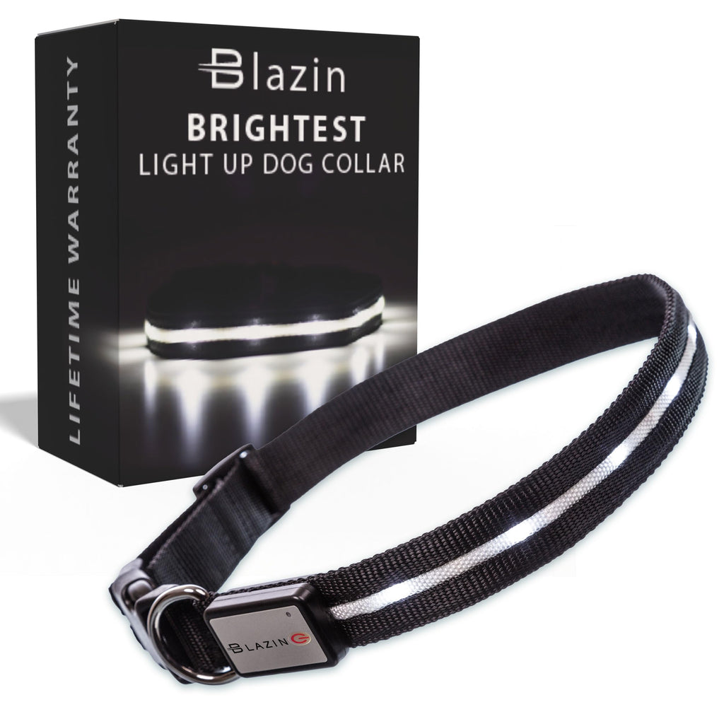 USB Rechargeable LED Light-Up Dog Collar