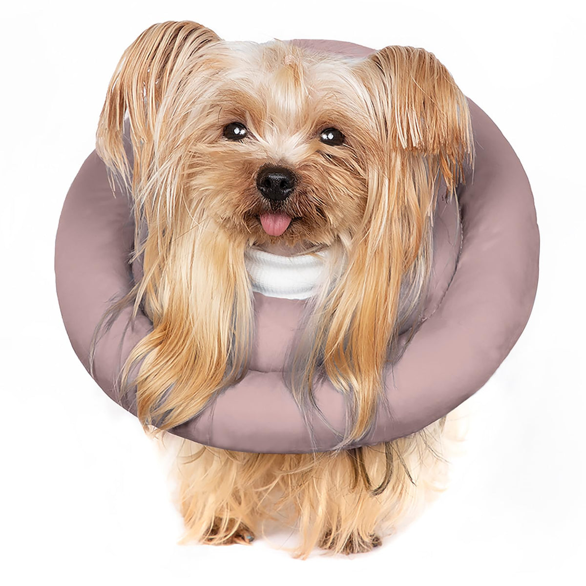 Soft Adjustable Dog Recovery Donut Collar