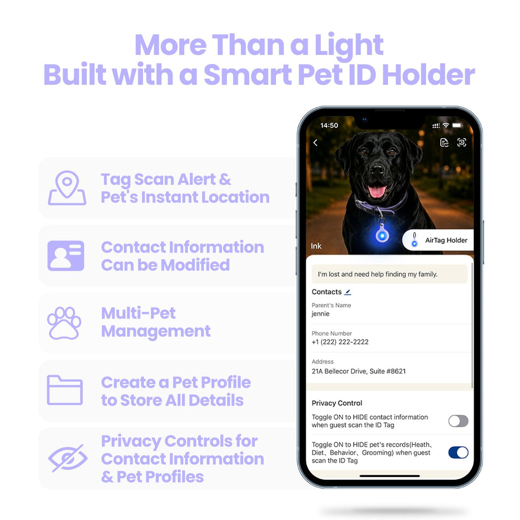 2-Pack USB-C LED Dog Safety Lights with QR Code ID